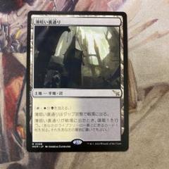 MTG エラーカード　その3 sddefault.jpg