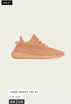 adidas YEEZY BOOST 350 V2 MONO CLAY