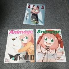 Animagazine SPY×FAMILY特集 3冊セット