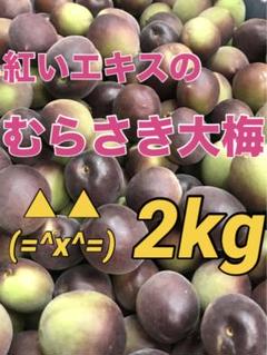 紫エキスが出るでる小梅　5kg 紅いシロップや紅い梅酒ができます　青梅16-9 紫エキスが出るでる小梅5kg 紅いシロップや紅い梅酒ができます