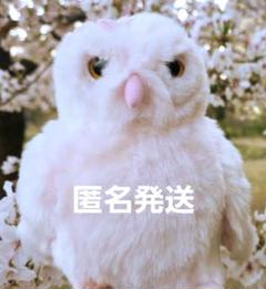 週末限定ハリーポッタースタジオツアー　ヘドウィグ　ドビー　セットメルカリのみ出品 ハリーポッター スタジオツアー東京限定 ヘドウィグ 杖 hedwig