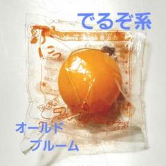希少 でるぞ系 スクイーズ オールドブルーム みかん 当時物 BLOOM 出るぞ 希少 でるぞ系 スクイーズ オールドブルーム みかん 当時物