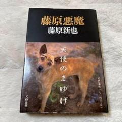 帯付き✨藤原悪魔　天使のまゆげ　藤原新也