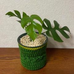 ハンドメイド　鉢カバー　小