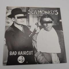 Sea Monkeys/Bad Haircutレコード7インチ93年