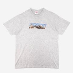 supreme Gotham Tee Ash Grey M 美品 supreme Gotham Tee Ash Grey M 美品 - メルカリ