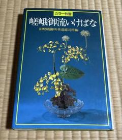 旧嵯峨御所華道総司所　盛花瓶花　竹之巻/桐之巻/菊之巻奥セット　非売品　生け花 2025年最新】旧嵯峨御所華道総司所の人気アイテム - メルカリ