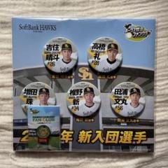 ソフトバンクホークス 新入団選手 缶バッチ 高橋礼 吉住晴斗