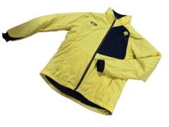 2025年最新】DESCENTE スキーウェア(男性用)の人気アイテム