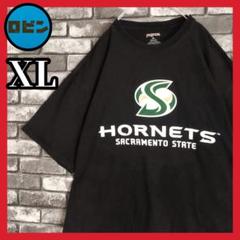 アメリカ カリフォルニア サクラメントホーネッツ カレッジ Tシャツtシャツ 黒