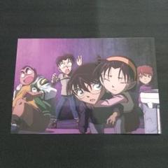 名探偵コナン ピンガ 同人 ポストカード無し 名探偵コナン ピンガ 同人 1冊 ポストカード無し その他