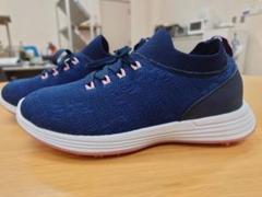 着用1回☆IGNIO nextFIT ゴルフシューズゴルフシューズ 22.5cm