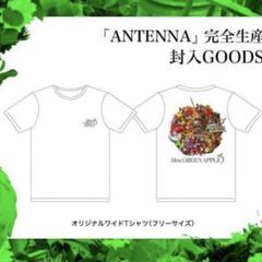 2025年最新】mrs.green apple antenna 完全生産限定boxの人気