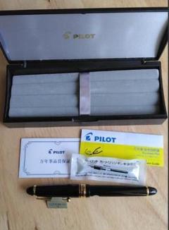 カスタム743 FM 未使用品 未使用 PILOT CUSTOM743 パイロット 万年筆 カスタム 743 筆記具