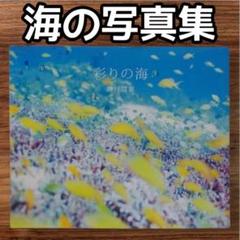 彩りの海 アートブック 定価2400+税