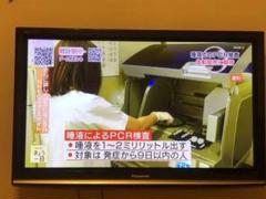 Panasonic VIERA G1 TH-P42G1