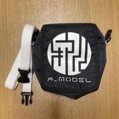 2025年最新】p-model 平沢進の人気アイテム - メルカリ