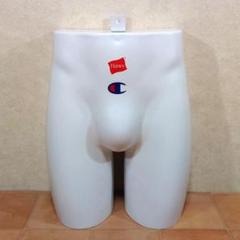 ヒップトルソー Hanes Champion パンツトルソー 男性 ディスプレイ
