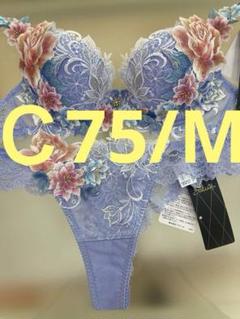 サルート　０９グループ⭐️店舗限定⭐️ＰＵ⭐️Ｃ75/M⭐️上下2点❗️新品❗️