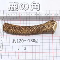 兵庫県北部産★鹿の角 まとめ売り★ f73a21ef48ac141133a02e99c677ed