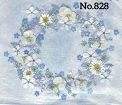 押し花素材　No.828 ブルー系押し花素材