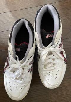 年末のプロモーション特価！ 2025年最新】asics 25cmの人気アイテム メルカリ - 靴