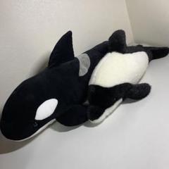2025年最新】イロワケイルカ ぬいぐるみの人気アイテム - メルカリ