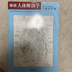 線描 人体解剖学