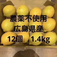 農薬不使用 広島レモン 12個のサムネイル