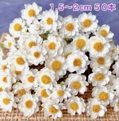 花かんざし 500本　ドライフラワー　サイズMIX  良品茎付き 花かんざし ドライフラワー 花径1.5〜2cm 茎付き50本 - メルカリ