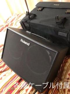 Roland ローランド アコースティック ギター アンプ AC-90