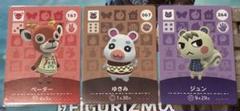 あつ森　amiibo ペーター　ゆきみ　ジュン