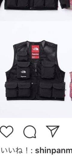 supreme north face vest
