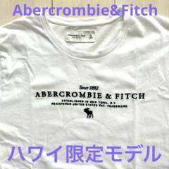 Abercrombie&Fitch 刺繍ロゴ入り　メンズTシャツ　ホワイトＸＬ