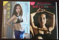 板野友美 週刊誌未開封袋とじ２冊セット！！のサムネイル