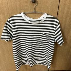 ストライプ Tシャツ Mサイズ