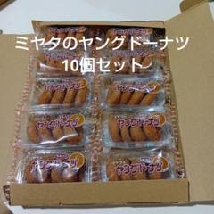 ミヤタのヤングドーナツ 10個セット アミューズメントお菓子