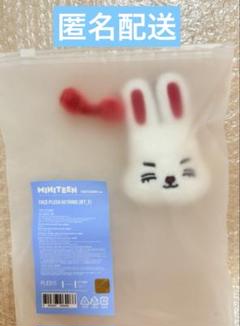 SEVENTEEN MINITEENエスクプス ぬいぐるみ SEVENTEEN セブンティーン エスクプス ぬいぐるみ 猫の