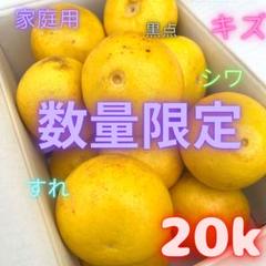 大人気　訳あり文旦　20kg 柑橘　91 大人気 訳あり文旦 20kg 柑橘 91 - メルカリ