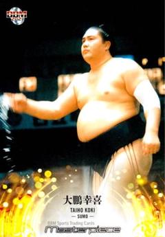 BBM 大相撲 蘇る勇姿！名力士直筆サインカード 横綱 大鵬 幸喜 2025年最新】大鵬幸喜の人気アイテム - メルカリ