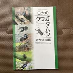 日本のクワガタムシ ポケット図鑑