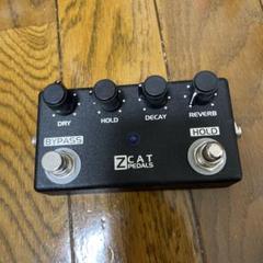 2025年最新】ZCAT pedalsの人気アイテム - メルカリ