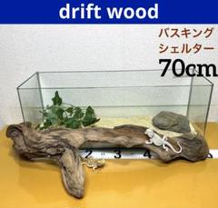 【2025年】もらって嬉しいお歳暮 人気ランキング SS613 流木灰汁抜き済み❤️型空洞流木シェルターバスキング その他