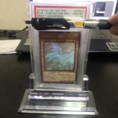 遊戯王 青眼の亜白龍 ホロ psa10 鑑定済 極美品