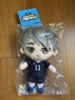 宮治 ぬいぐるみ Amazon.co.jp: ハイキュー!! 宮治 Chibiぬいマスコット : おもちゃ