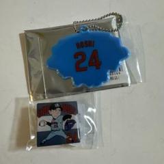 東京ヤクルトスワローズ　星知弥　ピンバッジ　リフレクターキーホルダー