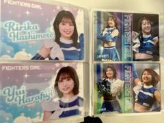 3個 日ハム ぬいぐるみ 松本剛 田宮裕涼 山崎福也 くじ モモンガ 3個 日ハム ぬいぐるみ 松本剛 田宮裕涼 山崎福也 くじ モモンガ