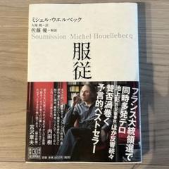 ミシェル・ウェルベック　10冊セット 2025年最新】ミシェル・ウエルベックの人気アイテム - メルカリ