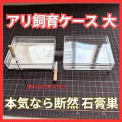 大型標本箱 Amazon | 大型ドイツ型標本箱（黒） | 生態・採集 | おもちゃ