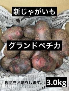 じゃがいもグランドペチカ小玉20kg 41dKJmjIuhL._AC_SY200_QL15_.jpg